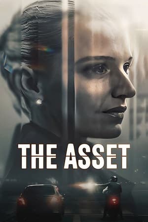 Download The Asset (2025) Season 1 Dual-Audio {Hindi-Danish} Netflix-Series 480p | 720p | 1080p WEB-DL